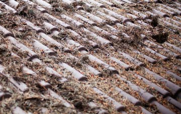 Munsley roof cleaning companies